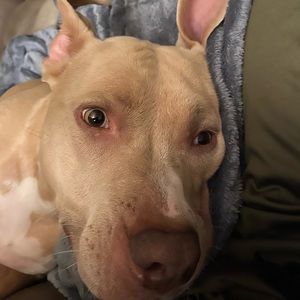 Meet your Posher, Tricia